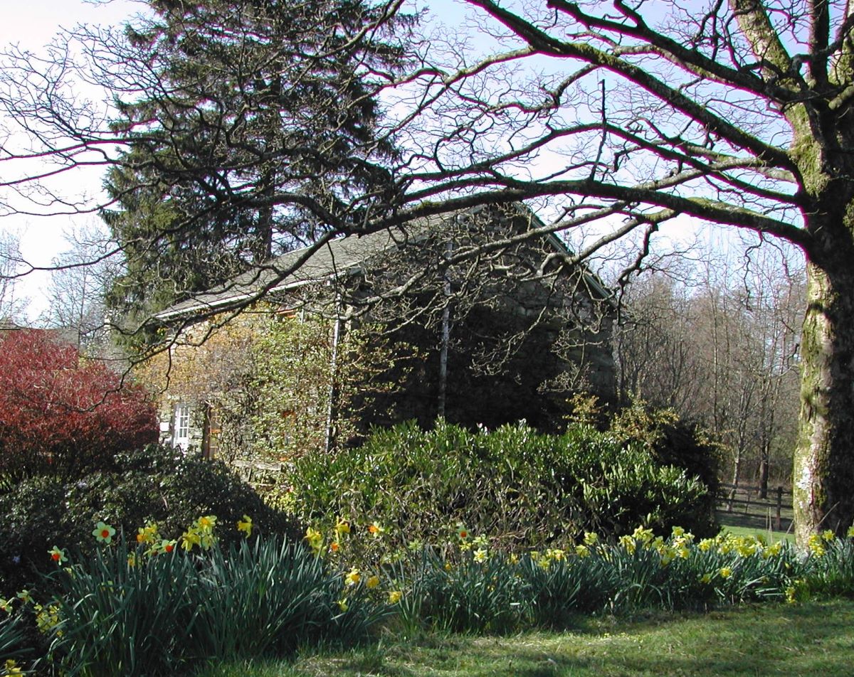 Secluded Holiday Cottage East View